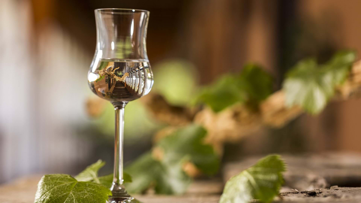 Pisco Chile