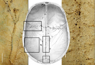 Imagen de la investigación.