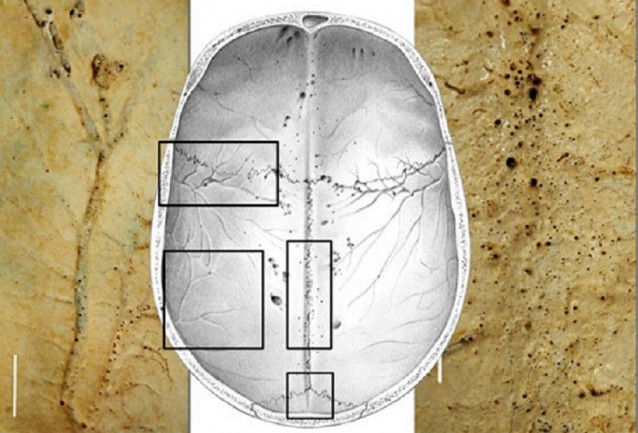 Imagen de la investigación.
