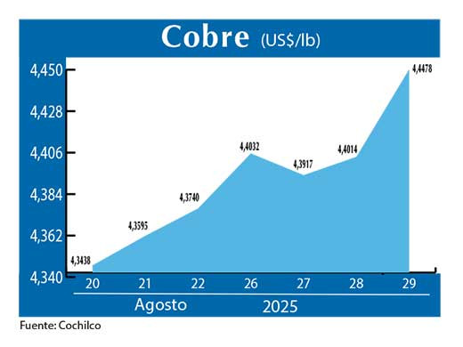 COBRE 29 08