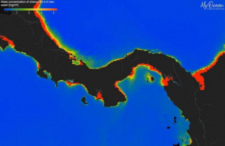 Concentraciones de clorofila extremadamente bajas en los océanos alrededor de Panamá (azul = bajo, rojo = alto) en febrero de 2025, revelando el fracaso del afloramiento de 2025 en el Golfo de Panam