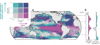 Mapa del océano global (a) con flujos de CO₂ y temperaturas superficiales del mar (TSM) para el año 2023. (b) Latitudes con altas temperaturas (rosa) y débil absorción de CO₂ debido a la desga