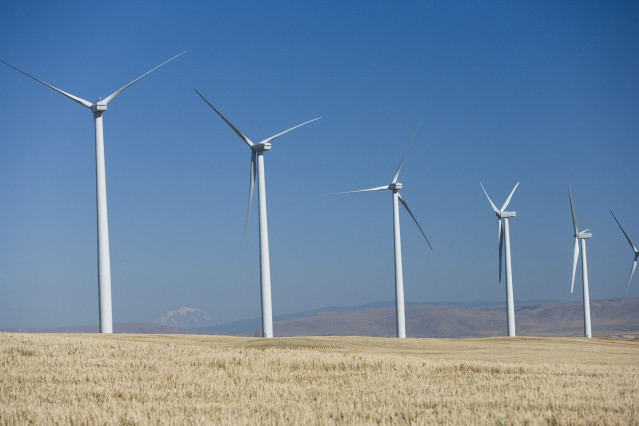 Archivo - Aerogeneradores de Iberdrola.