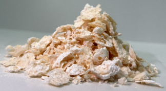 Un grupo de la Universidad de Kobe  logró la producción de PDCA (que es biodegradable y  propiedades incluso superiores a las del PET) en biorreactores en concentraciones más  de siete veces superi