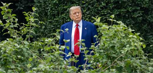Trump ofrece