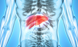 Una Investigación Del Csic Propone Una Vía Más Eficaz Para Tratar Un Cáncer De Hígado Muy Agresivo