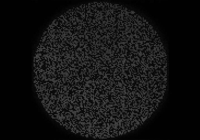 Esta imagen muestra 6100 átomos de cesio atrapados por rayos láser altamente enfocados, llamados pinzas ópticas. El ancho del círculo es de aproximadamente un milímetro.