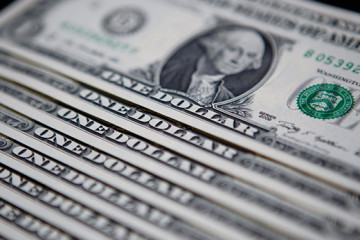 DOLAR41(1)