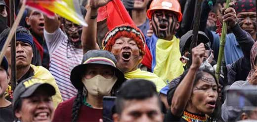 Colectivos