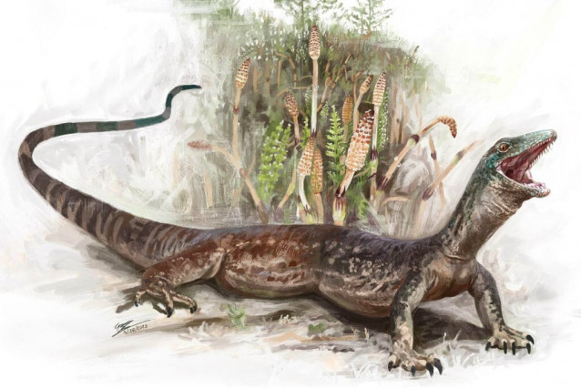 Una reconstrucción de Breugnathair elgolensis, la especie jurásica recientemente descrita con características tanto de lagartos como de serpientes.