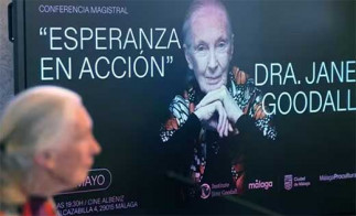 Ecologi