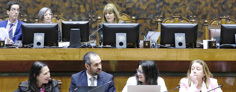 Articles 389716 foto portada.thumb i770x300