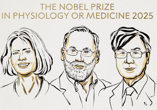 Archivo - El Nobel de medicina premia Mary Brankov, Fred Ramstell y Shimon Sakaguchi por  la tolerancia inmune periférica