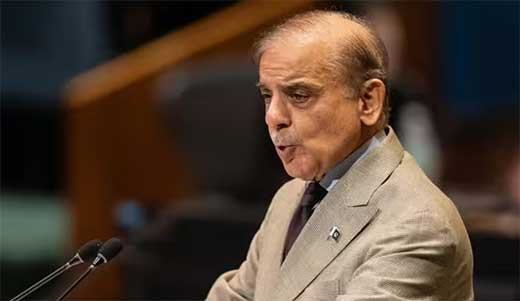 Pakistau0301n dice