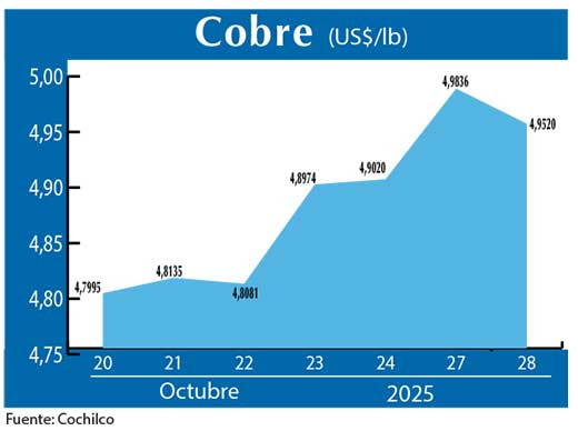 COBRE 28 10 (2)