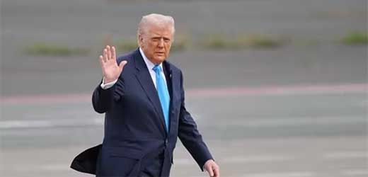 Trump dice