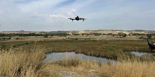 Beu0301lgica denuncia