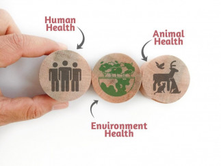 Archivo - El enfoque ‘Una sola salud’ o ‘One Health’ sitúa en primer plano la interdependencia entre la salud humana, animal y el medio ambiente