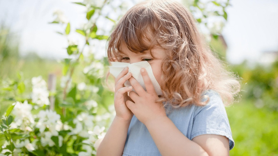 Rinitis alu00e9rgica niu00f1os