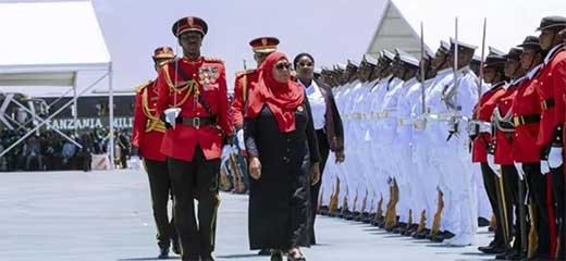 La Fiscaliu0301a de Tanzania