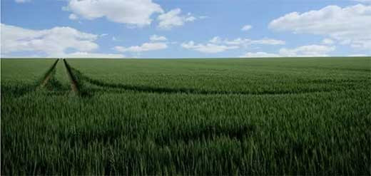 La Eurocau0301mara y los