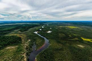 Un estudio del banco de desarrollo de América Latina y el Caribe afirma que la innovación en biodiversidad puede incentivar el crecimiento económico de la región.