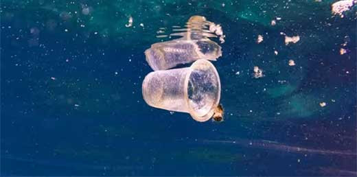 Identifican la dosis letal