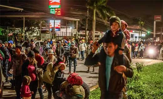 ONG denuncian que la