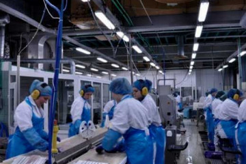 Industria Manufacturera6 (4)