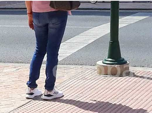 Expertos buscan un 