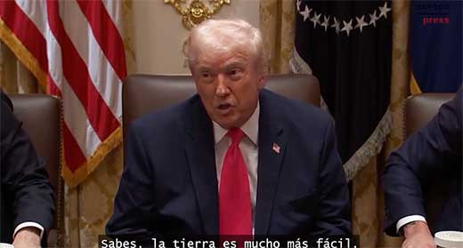 Trump dice