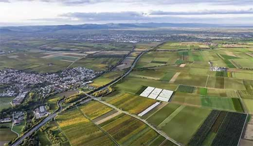 ACS entra en el mayor pr