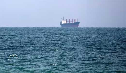 Turquiu0301a protesta 