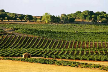 La UE acuerda flexibilizar el