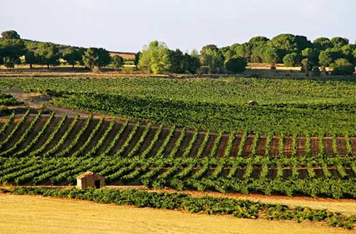 La UE acuerda flexibilizar el