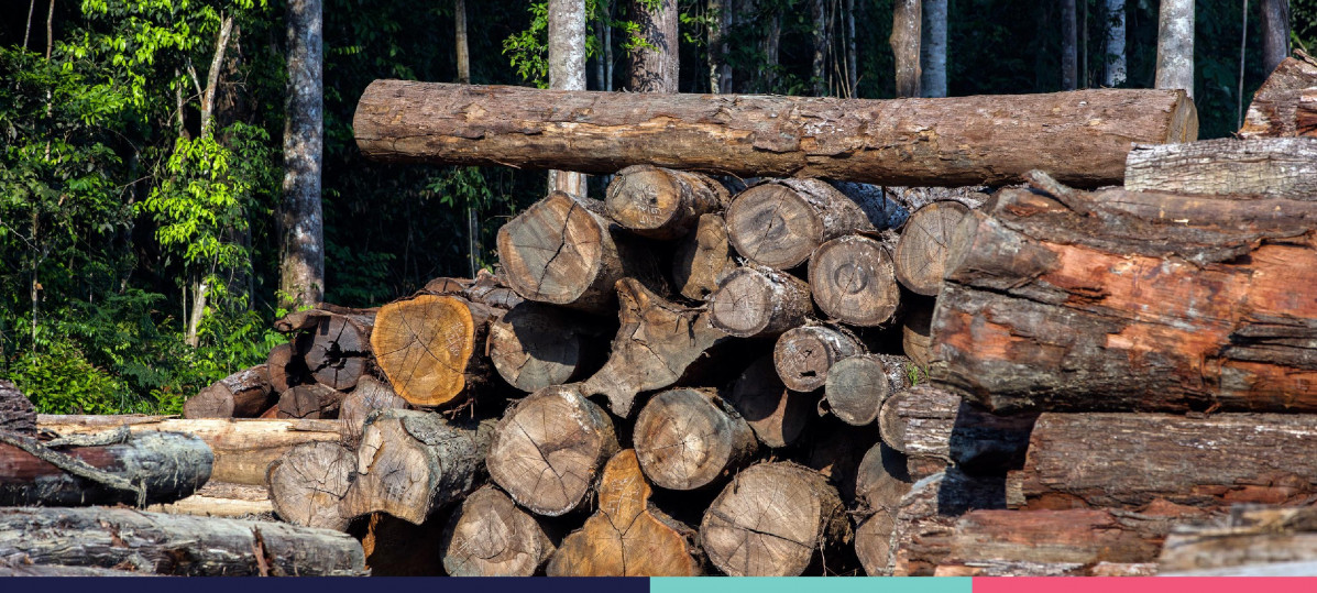 Slides Institucionales 2025 02 3