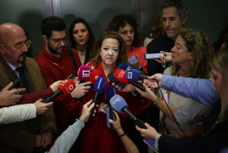 La consejera de sanidad de la Comunidad de Madrid, Fátima Matute, ofrece declaraciones tras la reunión del Consejo Interterritorial del Sistema Nacional de Salud (CISNS), en el Ministerio de Sanidad