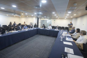 Foto sesion comite experto