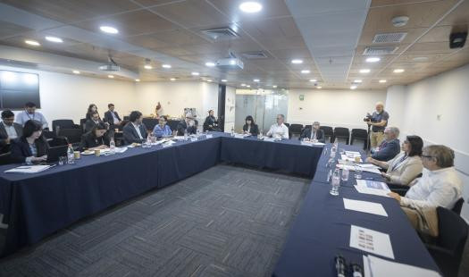 Foto sesion comite experto