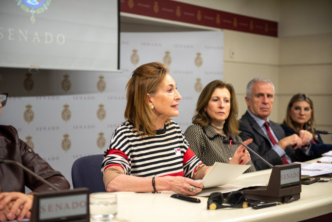La portavoz de la Alianza Carmen María Trinidad Herrero, durante su comparecencia en el Senado.