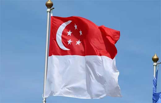 Singapur castigarau0301