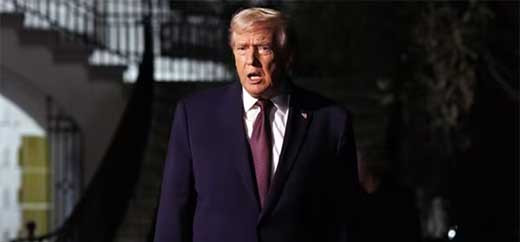 TRUMP PLANTEA