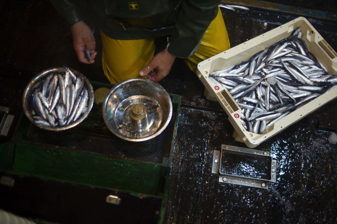 Archivo - Aprobada la contribución voluntaria de 90.000 euros al proyecto de cooperación pesquera Copemed