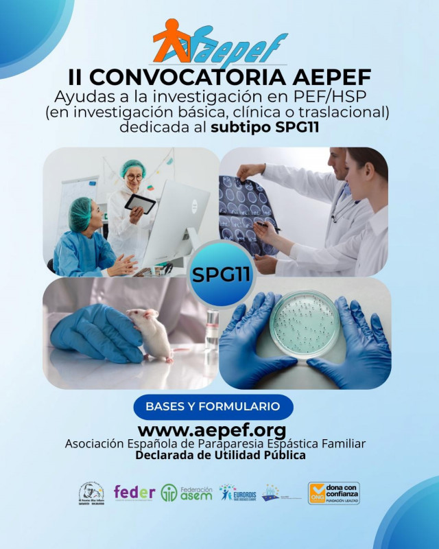 La Asociación Española de Paraparesia Espástica Familiar (AEPEF) ha abierto la segunda convocatoria de ayudas a la investigación del subtipo SPG11.