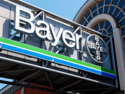 Bayer 2