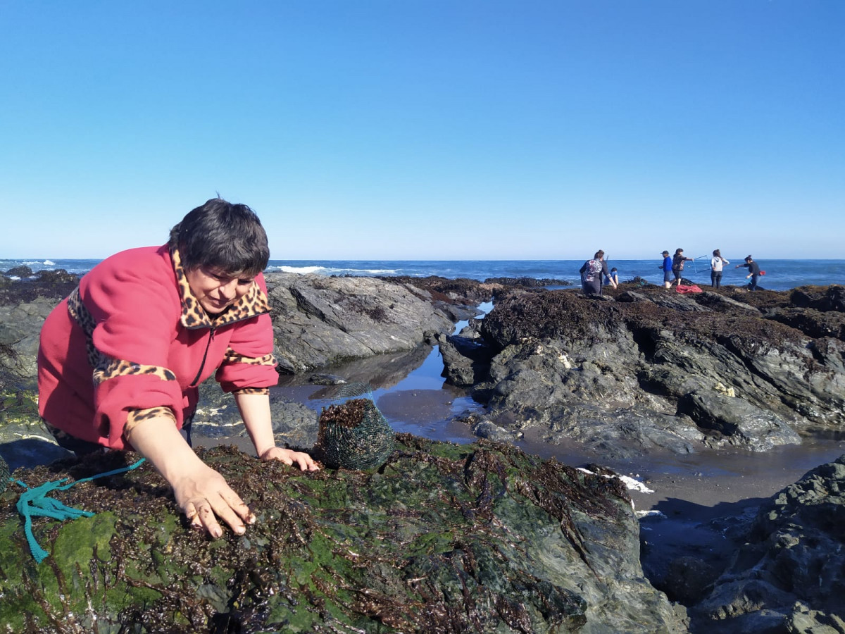 Whatsapp image 2025 03 24 at 3 21 10 pm