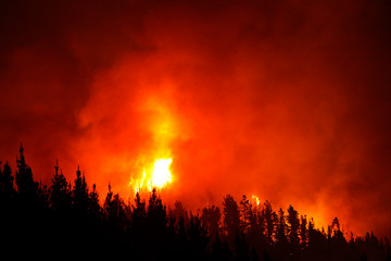 Incendio3 25 01 2017 (1)