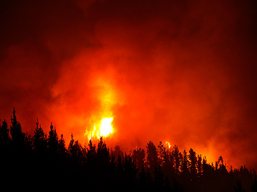 Incendio3 25 01 2017 (1)