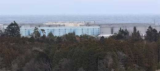 Japón reactiva la central