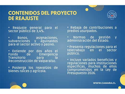 Contenidos del proyecto de reajuste